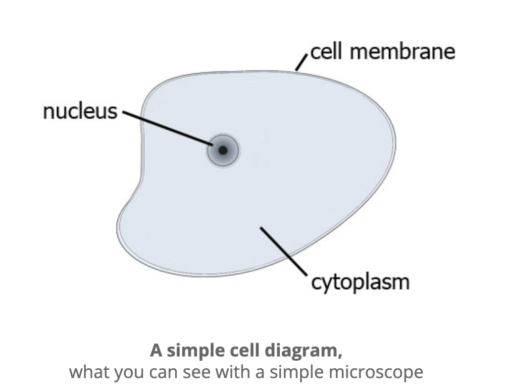 How about a lesson from a single cell?